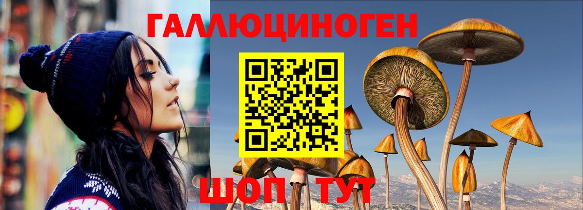 Галлюциногенные грибы Cubensis Кыштым